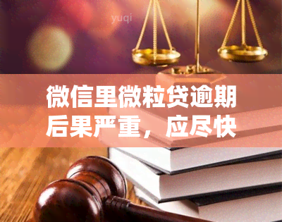 微信里微粒贷逾期后果严重，应尽快解决