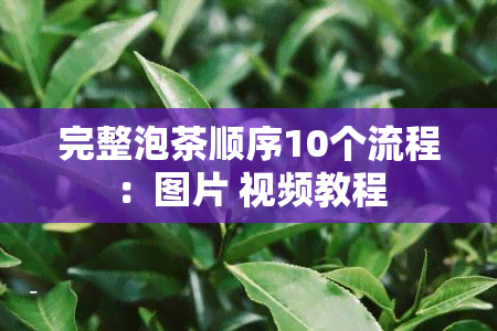 完整泡茶顺序10个流程：图片 视频教程