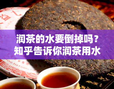 润茶的水要倒掉吗？知乎告诉你润茶用水、水的选择