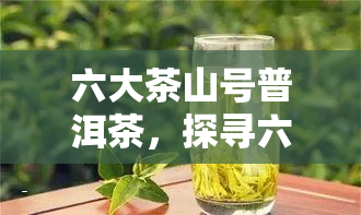 六大茶山号普洱茶，探寻六大茶山号普洱茶的神秘魅力