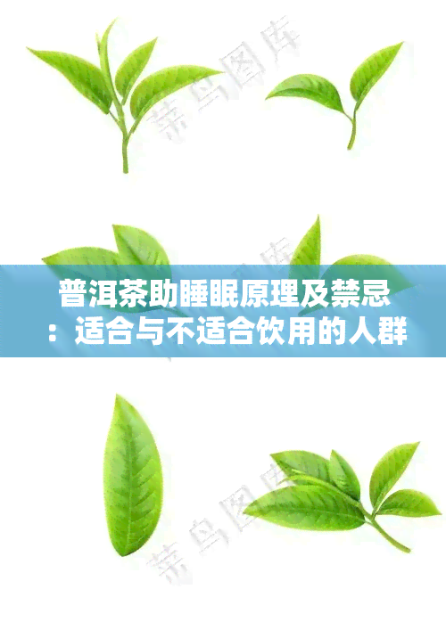 普洱茶助睡眠原理及禁忌：适合与不适合饮用的人群