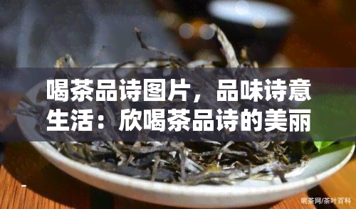 喝茶品诗图片，品味诗意生活：欣喝茶品诗的美丽瞬间