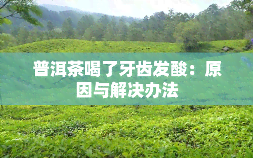 普洱茶喝了牙齿发酸：原因与解决办法