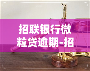 招联银行微粒贷逾期-招联银行微粒贷逾期会怎么样