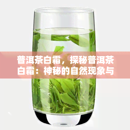 普洱茶白霜，探秘普洱茶白霜：神秘的自然现象与独特的口感体验