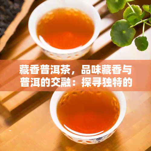 藏香普洱茶，品味藏香与普洱的交融：探寻独特的茶香之旅