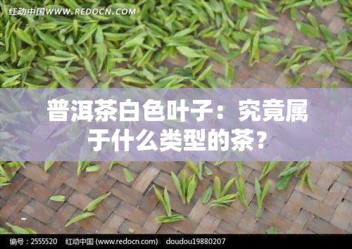 普洱茶白色叶子：究竟属于什么类型的茶？