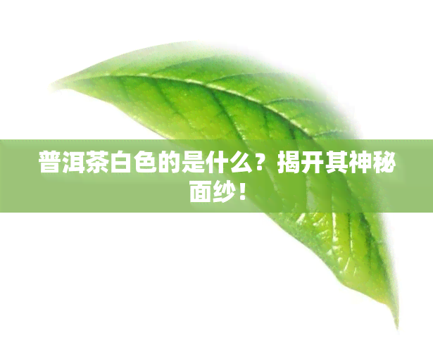 普洱茶白色的是什么？揭开其神秘面纱！