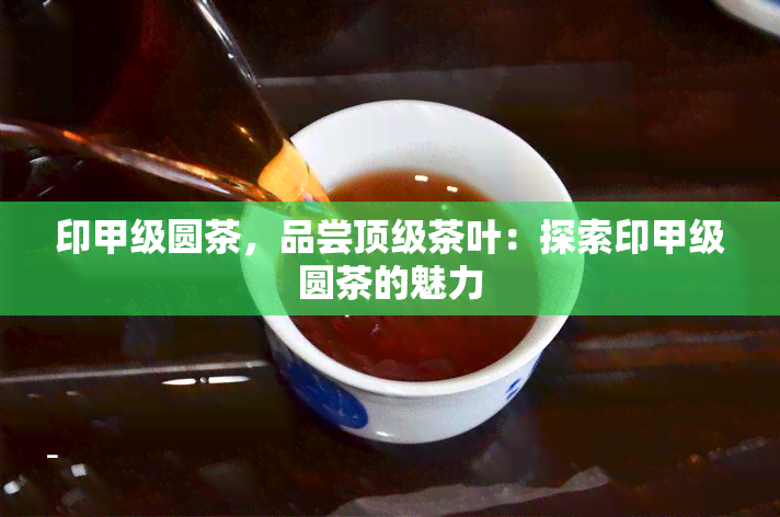 印甲级圆茶，品尝顶级茶叶：探索印甲级圆茶的魅力