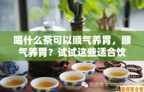 喝什么茶可以顺气养胃，顺气养胃？试试这些适合饮用的茶叶！