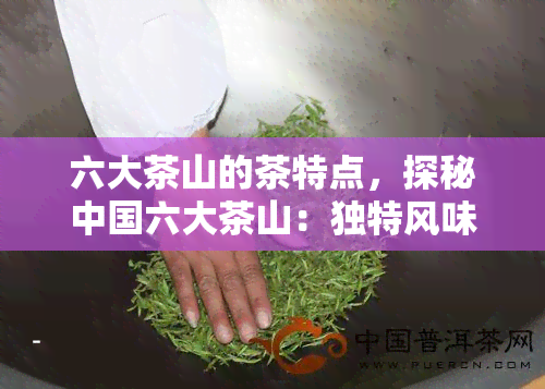 六大茶山的茶特点，探秘中国六大茶山：独特风味与魅力一览无余