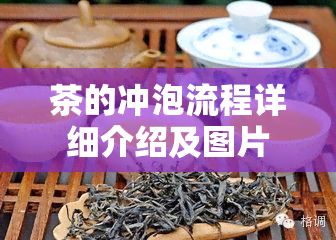 茶的冲泡流程详细介绍及图片