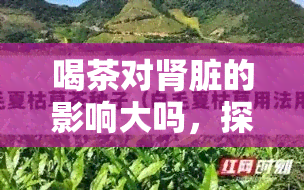 喝茶对肾脏的影响大吗，探讨喝茶对肾脏健的影响：真的大吗？