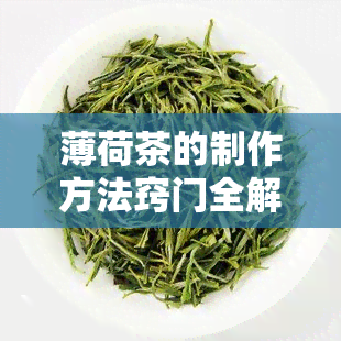 薄荷茶的制作方法窍门全解