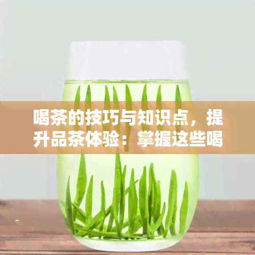 喝茶的技巧与知识点，提升品茶体验：掌握这些喝茶技巧与知识点