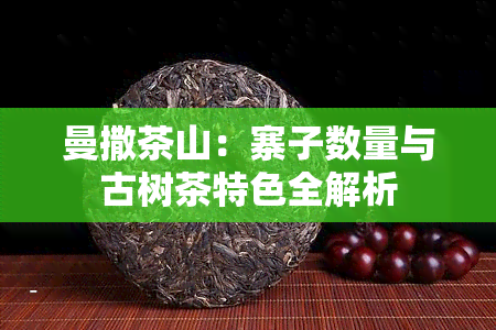 曼撒茶山：寨子数量与古树茶特色全解析