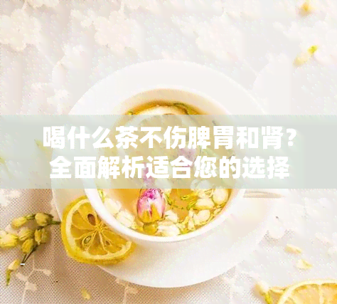 喝什么茶不伤脾胃和肾？全面解析适合您的选择