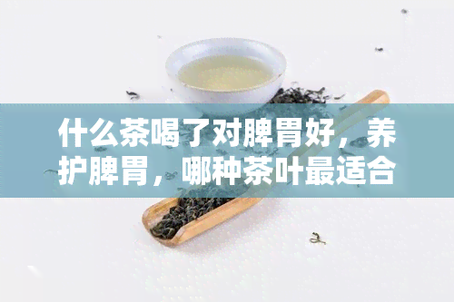 什么茶喝了对脾胃好，养护脾胃，哪种茶叶最适合？