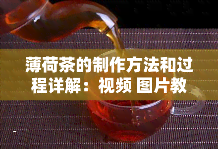 薄荷茶的制作方法和过程详解：视频 图片教程