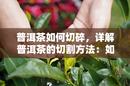 普洱茶如何切碎，详解普洱茶的切割方法：如何将普洱茶切成适合泡茶的小块？