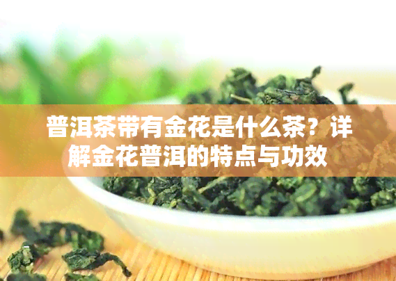 普洱茶带有金花是什么茶？详解金花普洱的特点与功效