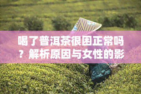 喝了普洱茶很困正常吗？解析原因与女性的影响