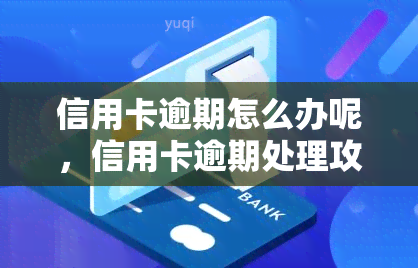 信用卡逾期怎么办呢，信用卡逾期处理攻略：教你如何应对还款难题