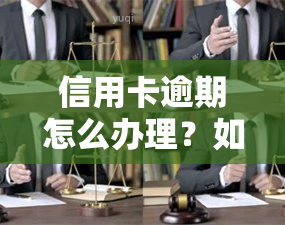 信用卡逾期怎么办理？如何申请分期还款或贷款？