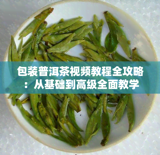 包装普洱茶视频教程全攻略：从基础到高级全面教学