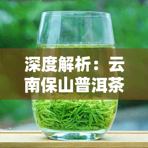 深度解析：云南保山普洱茶的独特特点与魅力