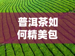 普洱茶如何精美包装？看图学技巧，让你的茶叶更上档次！