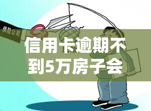 信用卡逾期不到5万房子会被没收吗，信用卡逾期未还，欠款不到5万会面临房产被没收的风险吗？