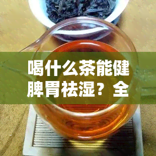 喝什么茶能健脾胃祛湿？全面解析常见功效茶叶