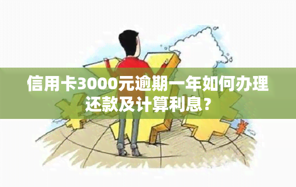 信用卡3000元逾期一年如何办理还款及计算利息？