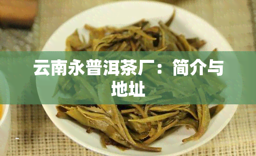 云南永普洱茶厂：简介与地址