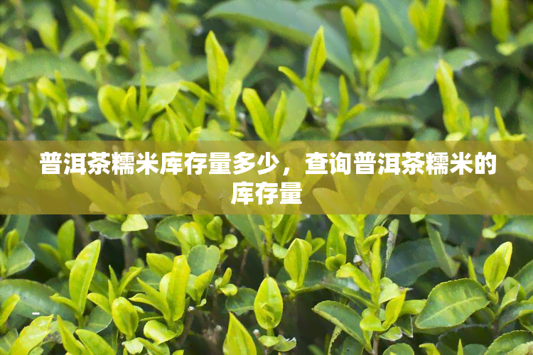 普洱茶糯米库存量多少，查询普洱茶糯米的库存量