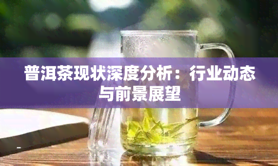 普洱茶现状深度分析：行业动态与前景展望