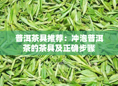 普洱茶具推荐：冲泡普洱茶的茶具及正确步骤