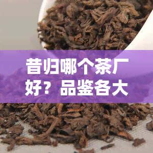 昔归哪个茶厂好？品鉴各大茶厂出品的昔归茶，寻找