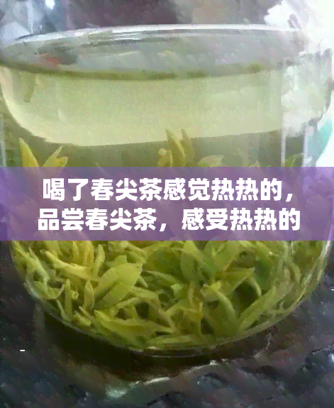 喝了春尖茶感觉热热的，品尝春尖茶，感受热热的韵味