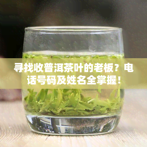 寻找收普洱茶叶的老板？电话号码及姓名全掌握！