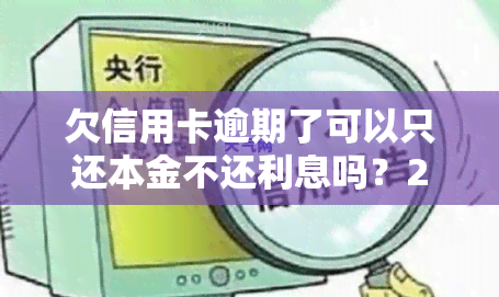 欠信用卡逾期了可以只还本金不还利息吗？2023年出台减免政策