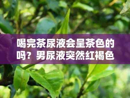 喝完茶尿液会呈茶色的吗？男尿液突然红褐色，是血尿还是茶色尿？看图鉴别！