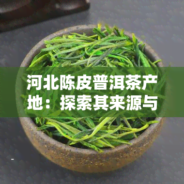 河北陈皮普洱茶产地：探索其来源与制作工艺