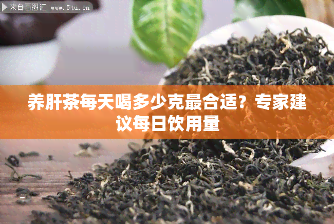 养肝茶每天喝多少克最合适？专家建议每日饮用量