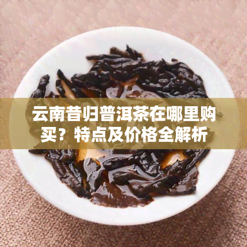 云南昔归普洱茶在哪里购买？特点及价格全解析