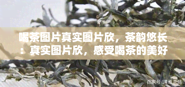 喝茶图片真实图片欣，茶韵悠长：真实图片欣，感受喝茶的美好时刻