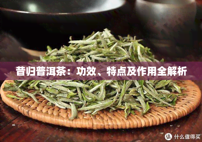 昔归普洱茶：功效、特点及作用全解析