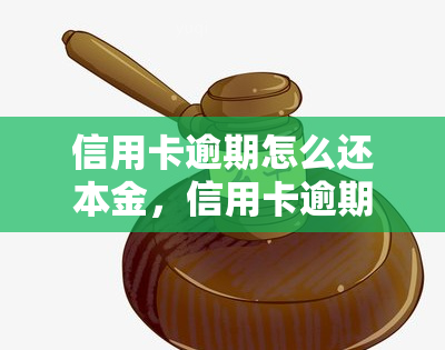 信用卡逾期怎么还本金，信用卡逾期：如何归还本金？