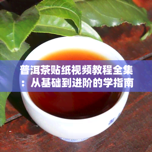 普洱茶贴纸视频教程全集：从基础到进阶的学指南